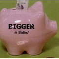 Plastique Piggy Bank (Large)